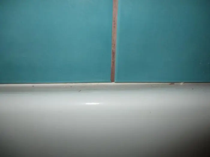 Close-up of a tiled bathroom wall with blue-green tiles. Upon inspection, there's a slight gap between the tiles and a white bathtub, with visible dirt or wear along the edge, hinting at possible mold lurking beneath.