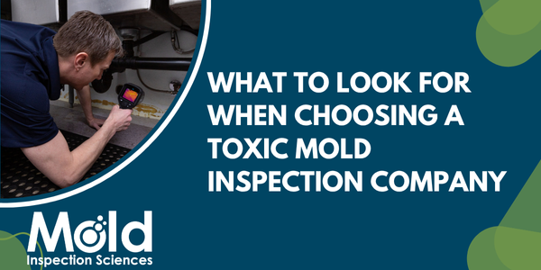 A man in a navy shirt uses a handheld device to inspect under a sink. Text reads: What to look for when choosing a mold assessment or sampling company.