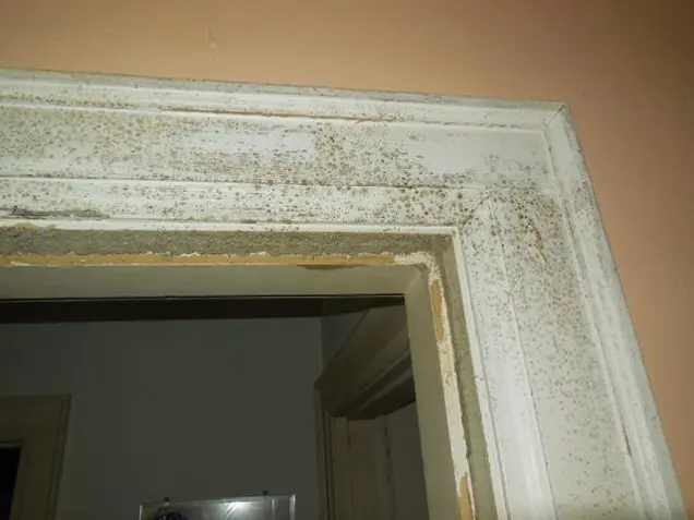 Close-up of a door frame with visible mold growth on the white paint surface, showing signs of discoloration and decay. A thorough inspection might reveal the full extent of the damage. The surrounding wall is painted beige.