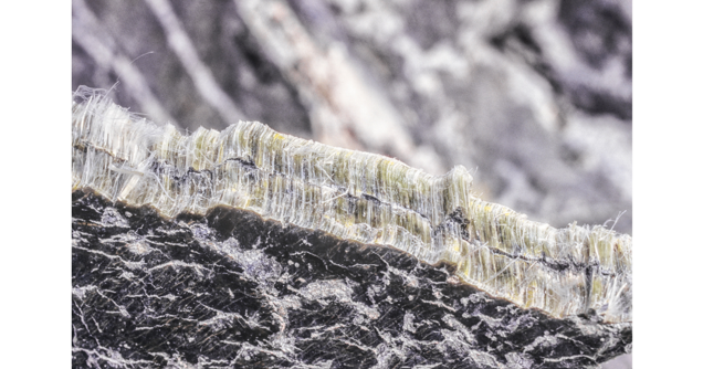 Close-up of a mineral cross-section reveals layers of fibrous, translucent crystals with a jagged edge, set against the dark, rough-textured rock surface—a perfect subject for detailed inspection.