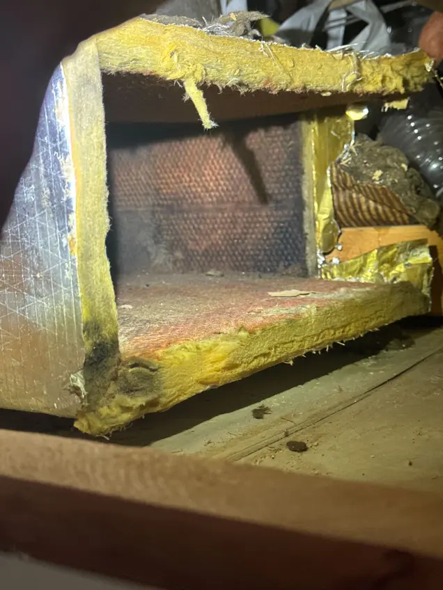 A close-up of a worn, partially torn air duct with exposed insulation suggests the need for mold testing. The metallic duct, with its yellow and silver tones, shows signs of damage and fraying. The dimly lit surrounding area is cluttered, hinting at neglected maintenance.