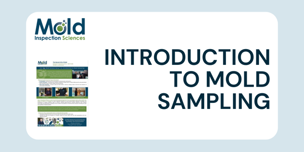 Mold Sampling