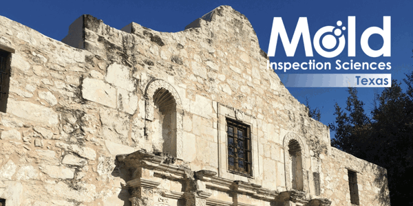 Mold Inspection Sciences San Antonio