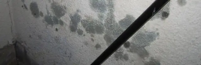 A close-up of a wall with numerous dark mold spots in varying sizes. A black diagonal line, possibly a railing, intersects the image from bottom right to top left. The texture of the wall is rough, suggesting the need for an inspection to assess potential surface damage.