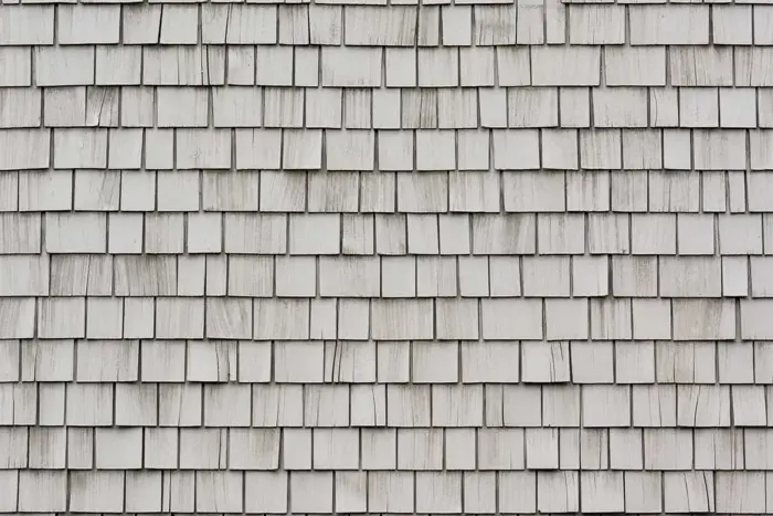 A textured surface of a wooden shingle wall, with neatly arranged, overlapping gray shingles that create a repetitive, uniform pattern, becomes the perfect subject for mold investigation.