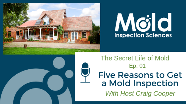 Promotional graphic for The Secret Life of Mold Ep. 01 titled Five Reasons to Get a Mold Inspection with host Craig Cooper. Includes a house image, an illustrated microphone icon, and the Mold Inspection Sciences logo, highlighting the importance of mold sampling and testing.