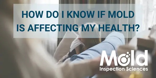 How Do I Know if Mold Is Affecting My Health