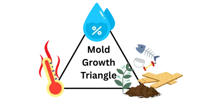 Illustration showing a thermometer with red heat waves, a blue water droplet with a percent sign, and gardening tools with soil and plants, representing temperature, humidity, and organic matter..