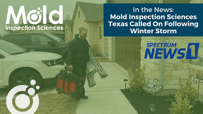 A person carrying inspection tools and a ladder walks on a driveway for an assessment. A white car is parked nearby. The image includes text about Mold Inspection Sciences Texas being featured in the news following a winter storm, highlighting their sampling techniques.