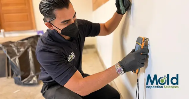 A technician in gloves and a mask uses a handheld device to conduct a mold inspection on a white wall. The Mold Inspection Sciences logo is visible in the bottom right corner.