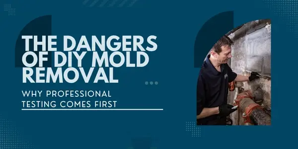 A man in work clothes examines pipes in a basement. Text on the image reads: The dangers of DIY mold removal. Why professional inspection comes first. The background is dark blue with geometric shapes.