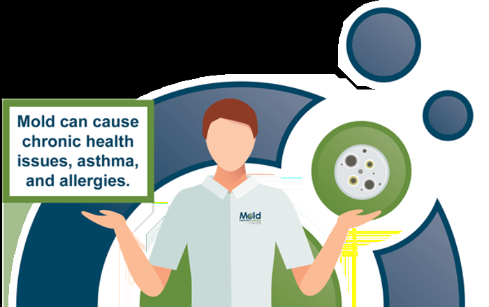 An illustration features a person in a Mold shirt, holding a sign proclaiming that mold can cause chronic health issues, asthma, and allergies. A green and grey object hints at testing or assessment. Blue and green circular shapes swirl in the background.