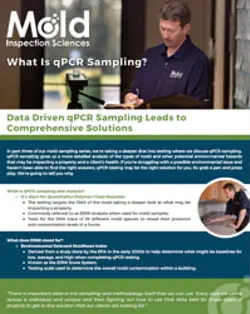 A brochure titled What Is qPCR Sampling? highlights the benefits of data-driven qPCR sampling for mold assessment. It features insights into comprehensive solutions and an image of a person analyzing samples during the investigation process.