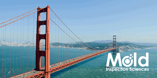 Mold Inspection Sciences San Francisco