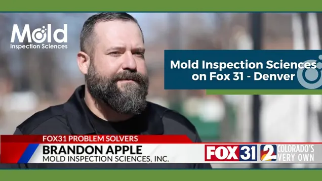 A bearded man in a black shirt stands outdoors. The text reads "Mold Investigation Sciences on Fox 31 - Denver" and "Brandon Apple, Mold Inspection Sciences, Inc." Logos for Fox 31 and Channel 2 are visible, highlighting the expert assessment being discussed.