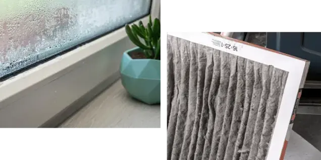 Condensation on a window next to a potted plant (left) suggests moisture assessment, while a close-up of a dirty, dusty HVAC filter held upright (right) points to the need for inspection.
