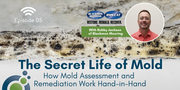 Podcast cover art titled The Secret Life of Mold featuring Episode 05. Includes a close-up of mold and a photo of smiling Robby Jackson from Blackmon Mooring. Text highlights how mold investigation and remediation work together seamlessly.