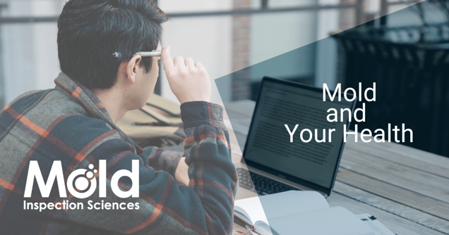 A person in a plaid shirt sits at a table, focused on their laptop. The screen displays text, highlighting "Mold and Your Health" and "Mold Inspection Sciences." The scene suggests a detailed assessment of mold issues, underscoring the importance of thorough inspection practices.