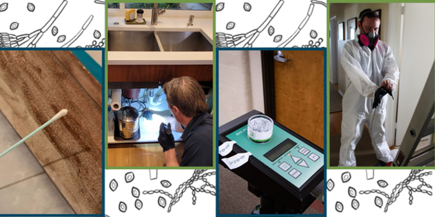 A collage shows surface sampling with a swab, a man inspecting under a sink, a green air quality meter close-up, and a person in protective gear using equipment. Spore patterns form the background, emphasizing thorough inspection.