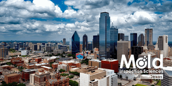 Mold Inspection Sciences Dallas