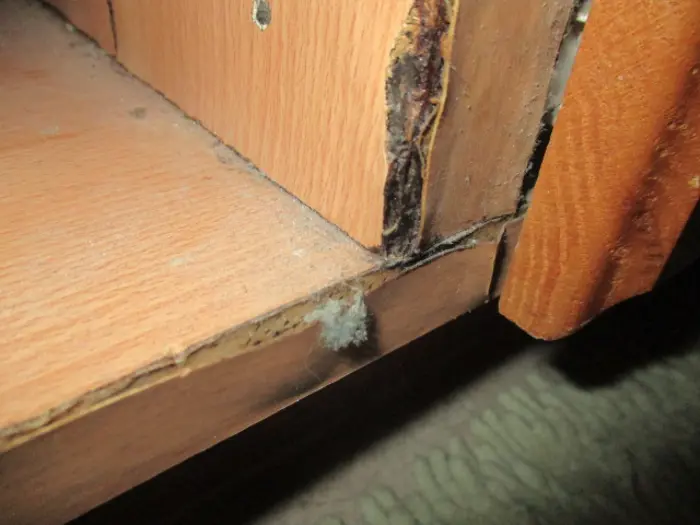 Close-up of a wooden surface with damaged edges and visible mold growth. The wood appears chipped and frayed, showing neglect or exposure to moisture, while the mold is concentrated in the corner, indicating possible humidity issues that may require further assessment.