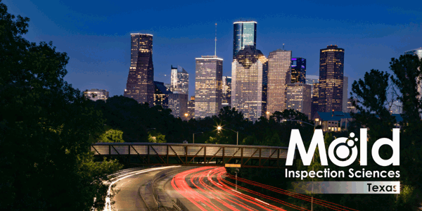 Mold Inspection Sciences Houston