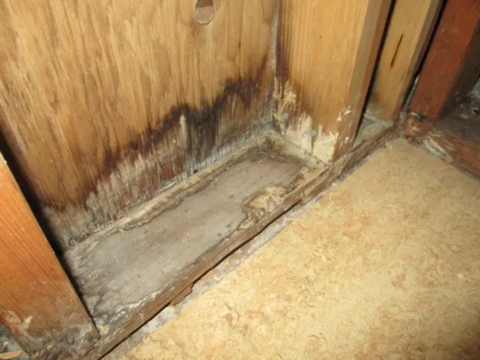 The image shows a wooden wall and floor corner with visible water damage and mold growth, indicated by dark, stained patches on the wood. A thorough assessment is needed as the area appears damp and deteriorated.