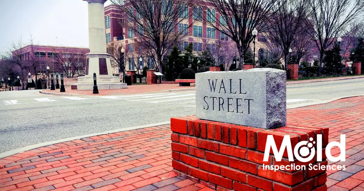 A street scene with a stone marker labeled Wall Street on a brick base. In the background, a brick building and monument are visible while Mold Inspection Sciences stands prominently at the corner, specializing in mold sampling. Trees line the street.