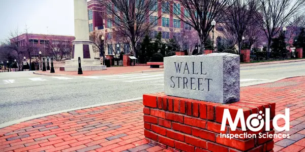 A street scene with a stone marker labeled Wall Street on a brick base. In the background, a brick building and monument are visible while Mold Inspection Sciences stands prominently at the corner, specializing in mold sampling. Trees line the street.