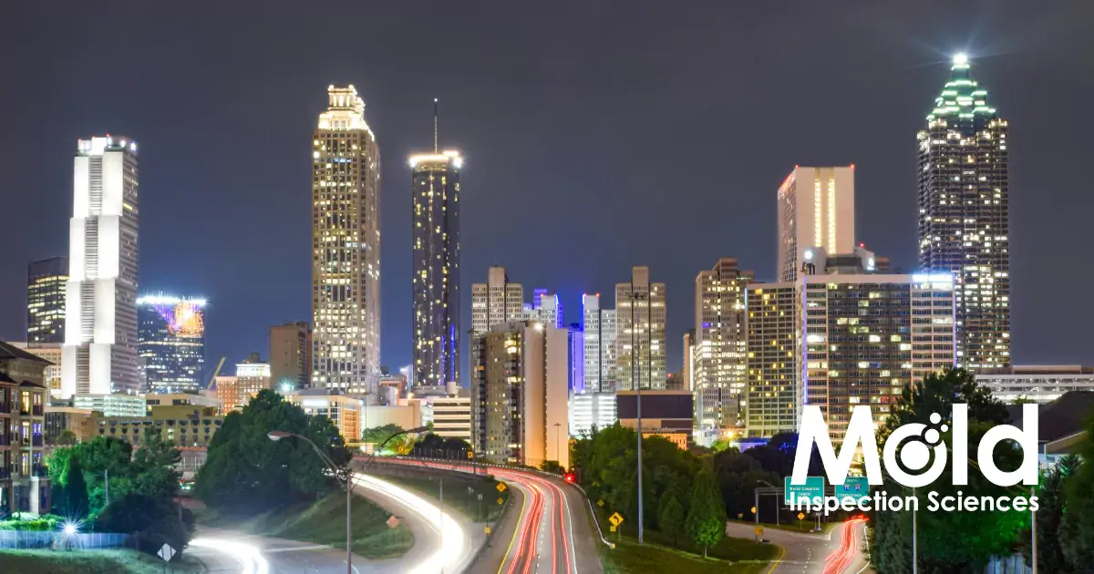 A city skyline at night with tall buildings illuminated against the dark sky. Light trails from moving vehicles on the highway lead toward the skyline, while "Mold Inspection Sciences" subtly stands out on the right side of the image, echoing a seamless investigation in urban beauty.