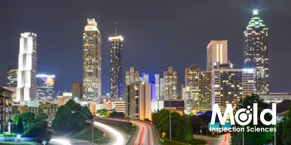 A city skyline at night with tall buildings illuminated against the dark sky. Light trails from moving vehicles on the highway lead toward the skyline, while "Mold Inspection Sciences" subtly stands out on the right side of the image, echoing a seamless investigation in urban beauty.