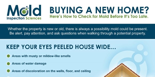 Informational graphic titled Buying a New Home? offers tips on mold inspection. Features a blue and green color scheme with a list of potential mold signs, such as musty smells, water damage, and discoloration on walls, floors, and ceilings.