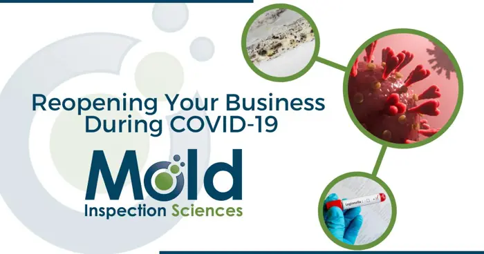 Text graphic for a business reopening during COVID-19. Includes images of mold, a virus model, and a gloved hand holding a COVID-19 test. The text reads Reopening Your Business During COVID-19: Inspection and Mold Assessment by Mold Inspection Sciences.