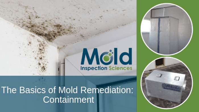 Image showing mold growth in a corner, alongside a logo for Mold Inspection Sciences. Two smaller images display containment equipment used in mold remediation. Text reads: The Basics of Mold Remediation: Containment and Assessment.