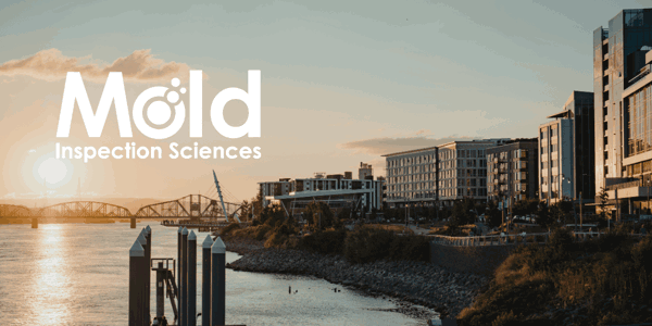 Mold Inspection Sciences Vancouver