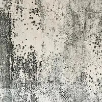 Abstract image with a textured, mottled pattern of black and white resembling mold growth on a light surface. The design features scattered, uneven dark spots and streaks, evoking inspection of contrasting elements against the lighter background.