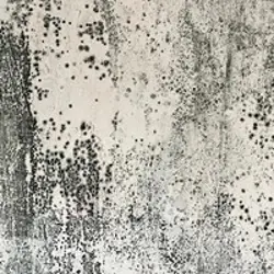 Abstract image with a textured, mottled pattern of black and white resembling mold growth on a light surface. The design features scattered, uneven dark spots and streaks, evoking inspection of contrasting elements against the lighter background.