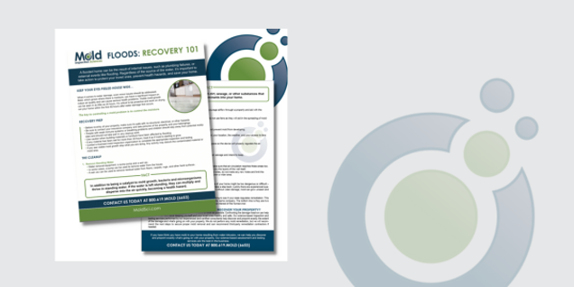 Digital flyer titled Mold Floods: Recovery 101 with information on mold prevention, testing, and recovery. Features prevention tips, contact information, and abstract green and gray circular graphics. The design is clean and informative.
