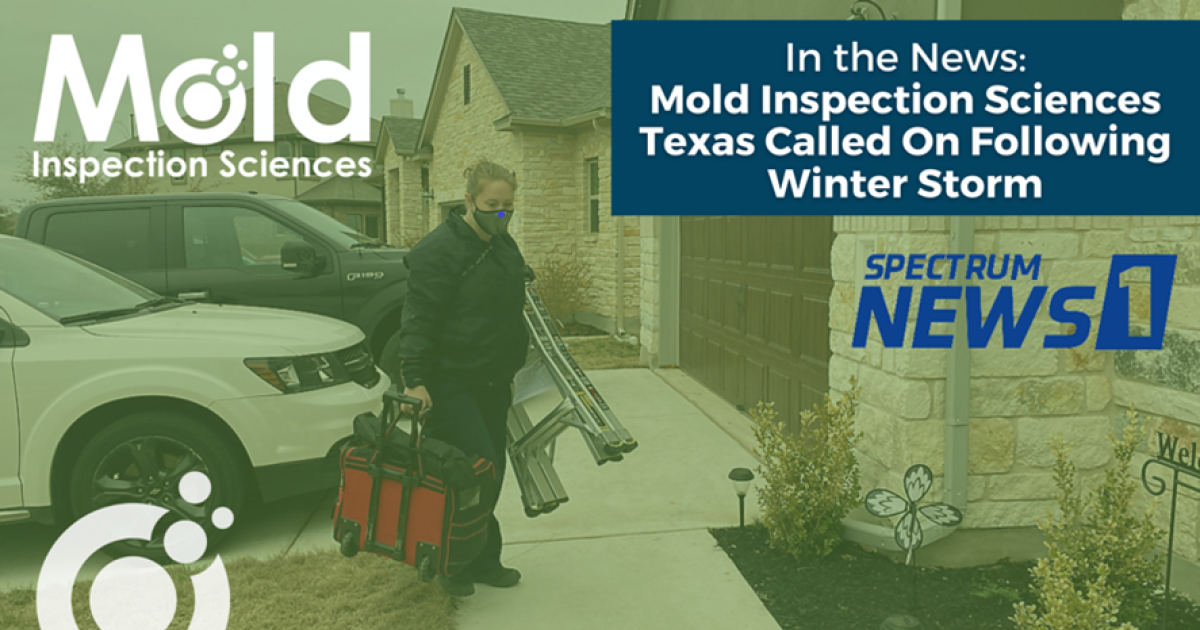 A man wearing a mask carries tools and equipment near a house, conducting an inspection for Mold Inspection Sciences. A logo highlights their role in the assessment following a Texas winter storm, alongside the Spectrum News 1 logo.