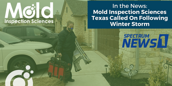 A man wearing a mask carries tools and equipment near a house, conducting an inspection for Mold Inspection Sciences. A logo highlights their role in the assessment following a Texas winter storm, alongside the Spectrum News 1 logo.