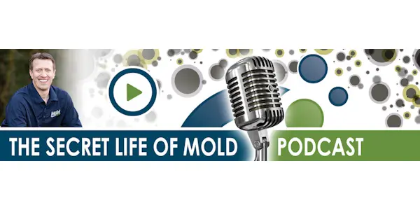 Podcast banner titled The Secret Life of Mold featuring a smiling person on the left, a vintage microphone for in-depth investigation at the center, and a play button icon amidst stylized mold spores in various shades of gray and green.