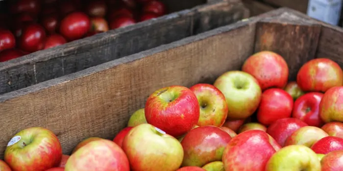 A wooden crate filled with red and green apples, ready for sampling at a market or farm stand. Another crate with more apples awaits inspection, partially visible in the background.