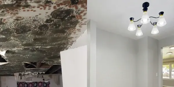 Split image: left side shows a damaged ceiling with severe black mold and holes, awaiting assessment; right side displays a clean, freshly painted ceiling with a modern light fixture in a bright room.