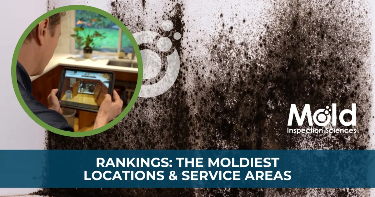 A person holds a tablet depicting a kitchen for mold investigation. The background reveals a large patch of black mold on a white wall. Text reads Rankings: The Moldiest Locations & Service Areas with the Mold Inspection Sciences logo.