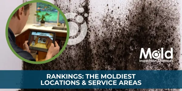 A person holds a tablet depicting a kitchen for mold investigation. The background reveals a large patch of black mold on a white wall. Text reads Rankings: The Moldiest Locations & Service Areas with the Mold Inspection Sciences logo.