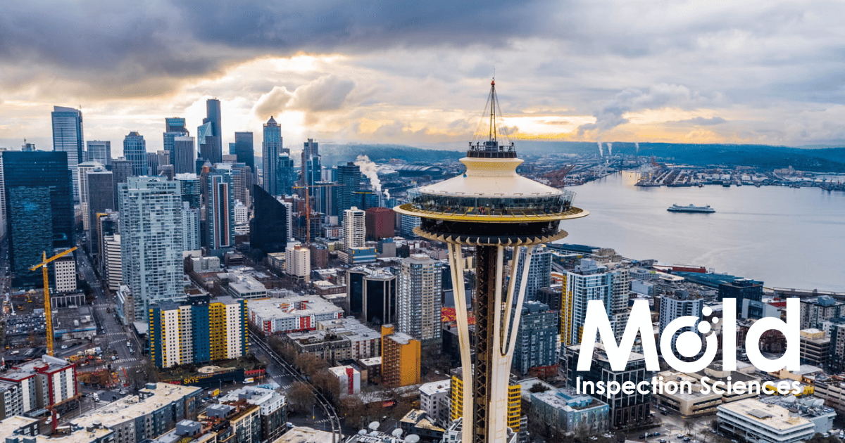 Mold Inspection Sciences Seattle