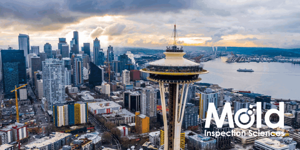 Mold Inspection Sciences Seattle