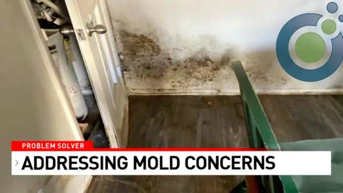 Image showing a room corner with mold on the lower half of the wall and floor. A green chair is partly visible. Text overlay reads, Problem Solver: Conducting Mold Assessment.