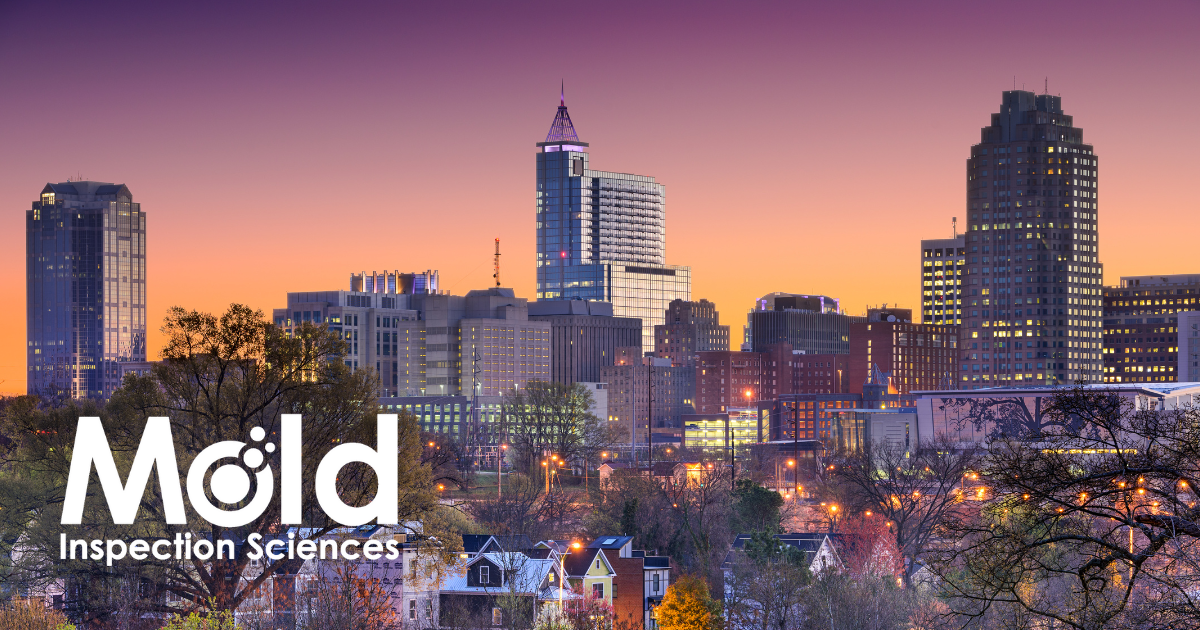 The city skyline at sunset casts a warm glow over tall buildings and a gradient sky. Trees and houses nestle in the foreground, while "Mold Inspection Sciences" subtly highlights the importance of thorough inspection in urban settings.