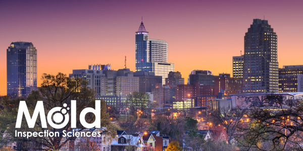 The city skyline at sunset casts a warm glow over tall buildings and a gradient sky. Trees and houses nestle in the foreground, while "Mold Inspection Sciences" subtly highlights the importance of thorough inspection in urban settings.